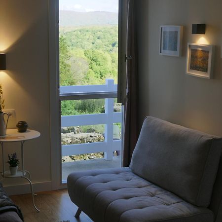 La Teijeira Pension O Corazon Da Ribeira Sacra מראה חיצוני תמונה
