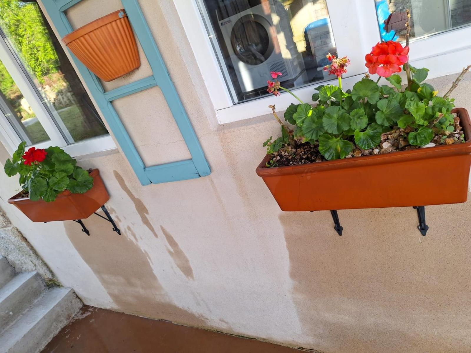 La Teijeira Pension O Corazon Da Ribeira Sacra מראה חיצוני תמונה