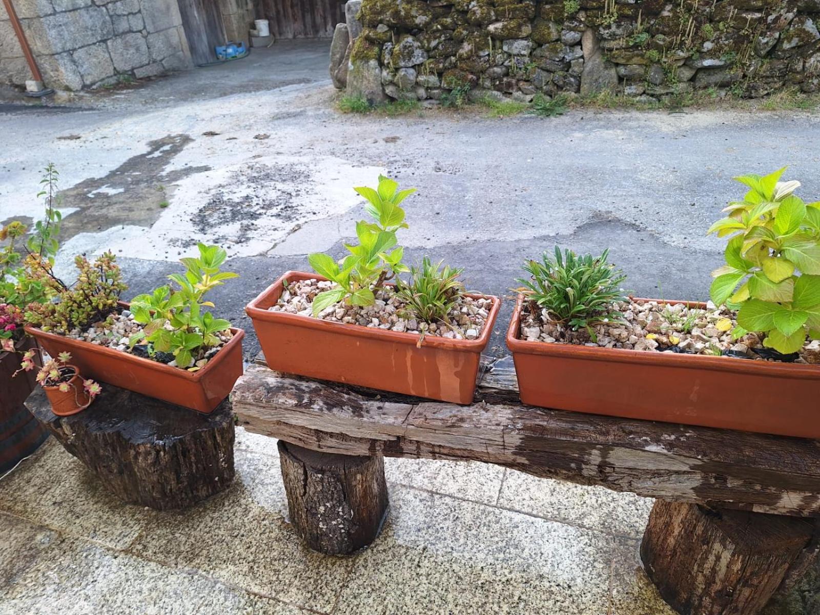 La Teijeira Pension O Corazon Da Ribeira Sacra מראה חיצוני תמונה