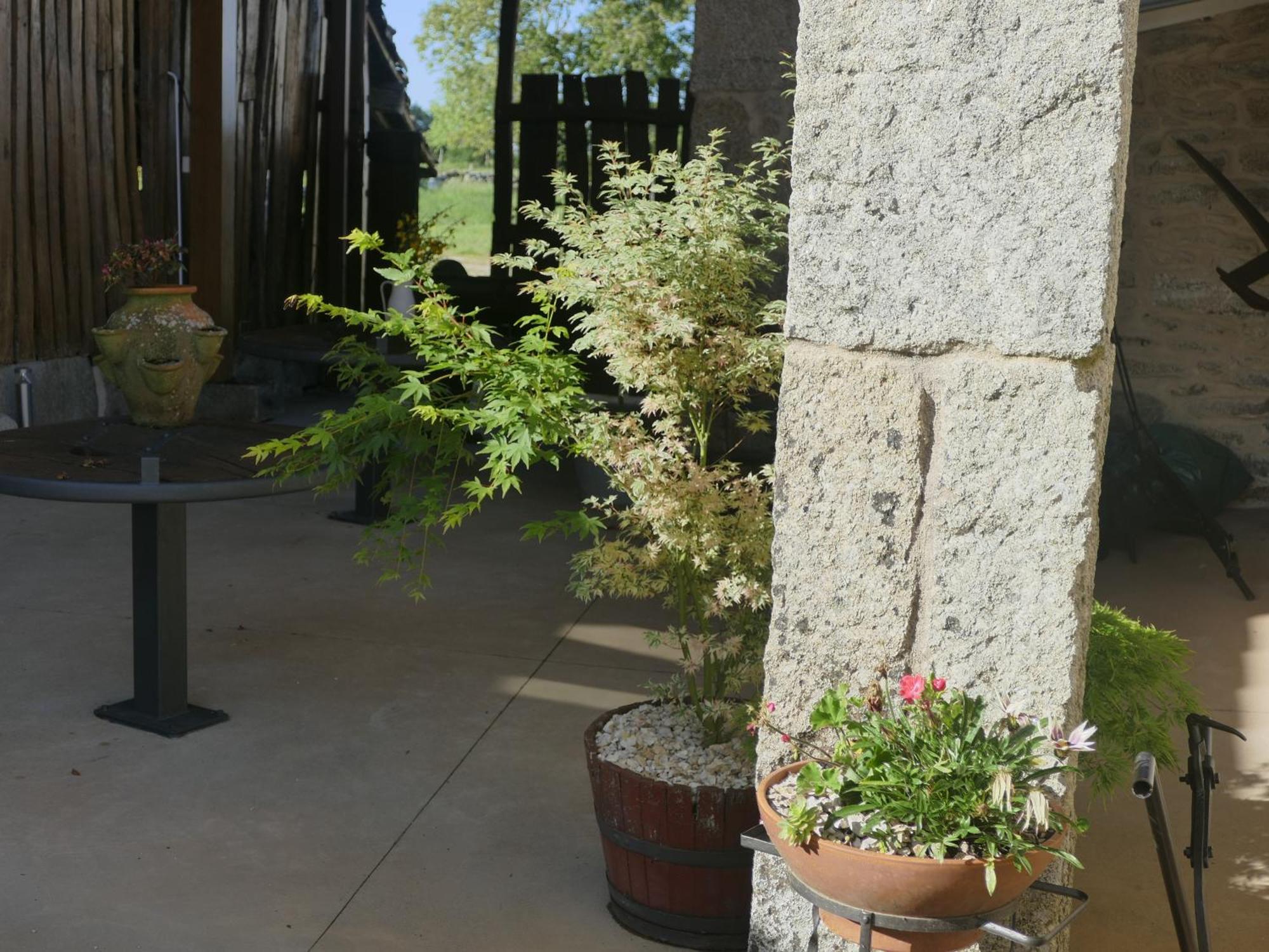 La Teijeira Pension O Corazon Da Ribeira Sacra מראה חיצוני תמונה