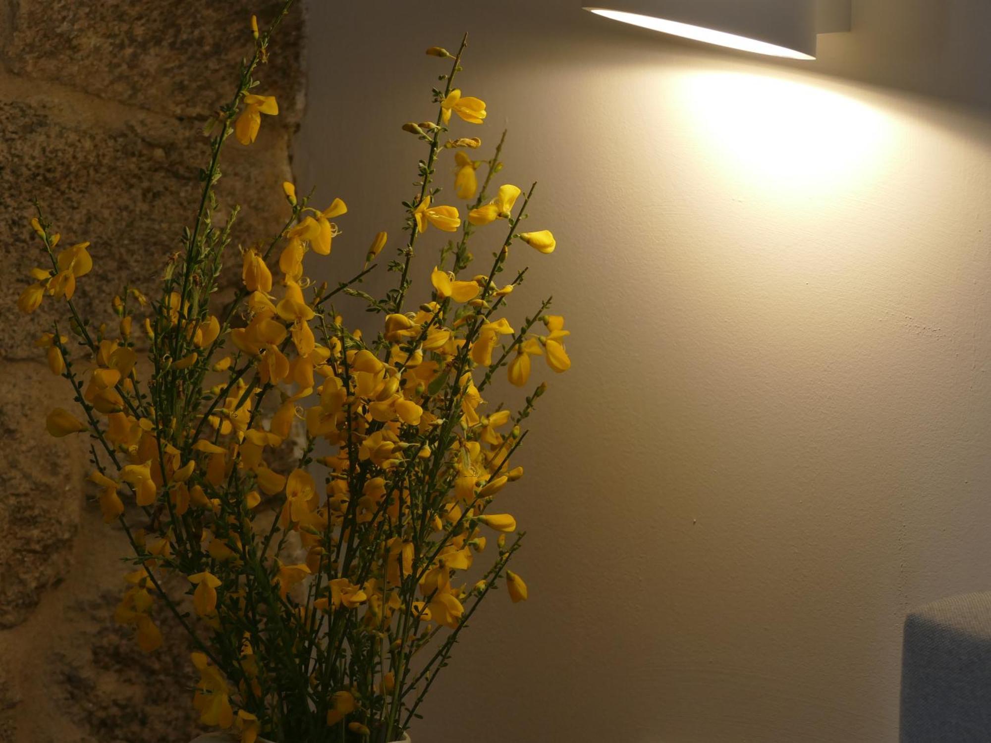 La Teijeira Pension O Corazon Da Ribeira Sacra מראה חיצוני תמונה