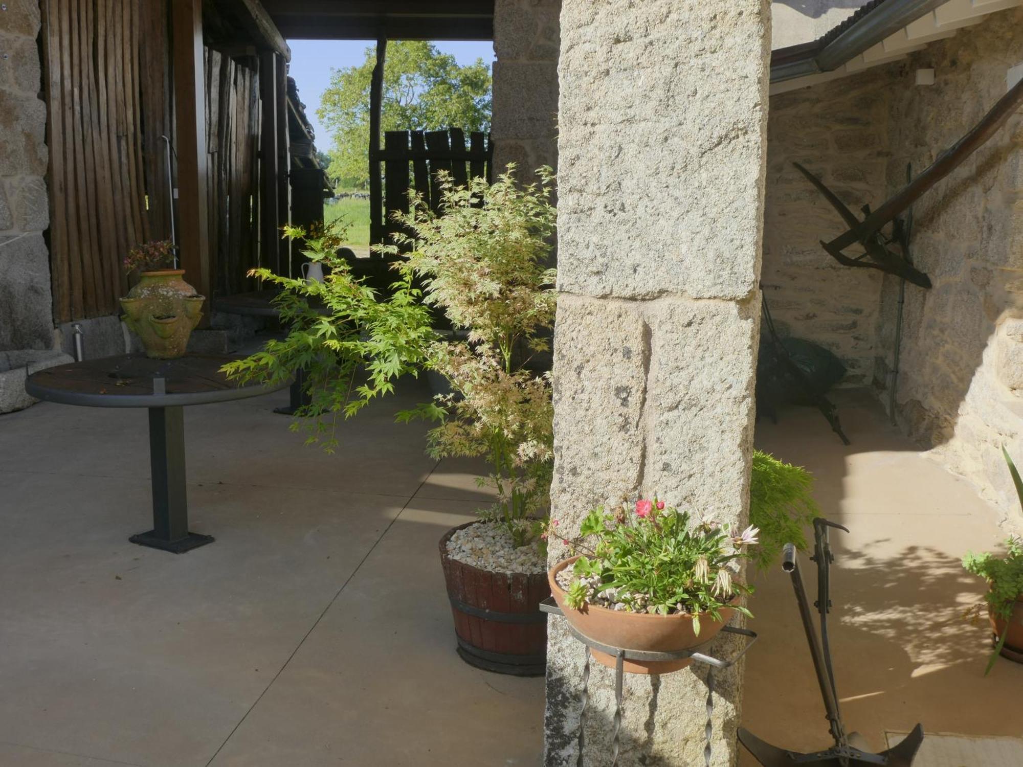 La Teijeira Pension O Corazon Da Ribeira Sacra מראה חיצוני תמונה